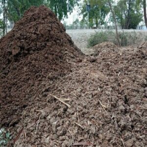 Cow Dung Compost Manure
