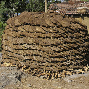 Ghasi (Dry Cow Dung)