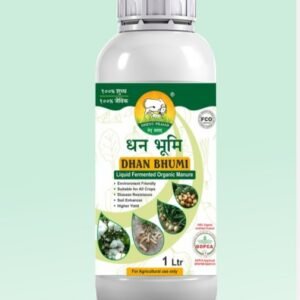 Dhan Bhumi