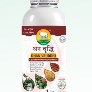 Dhan Vruddhi